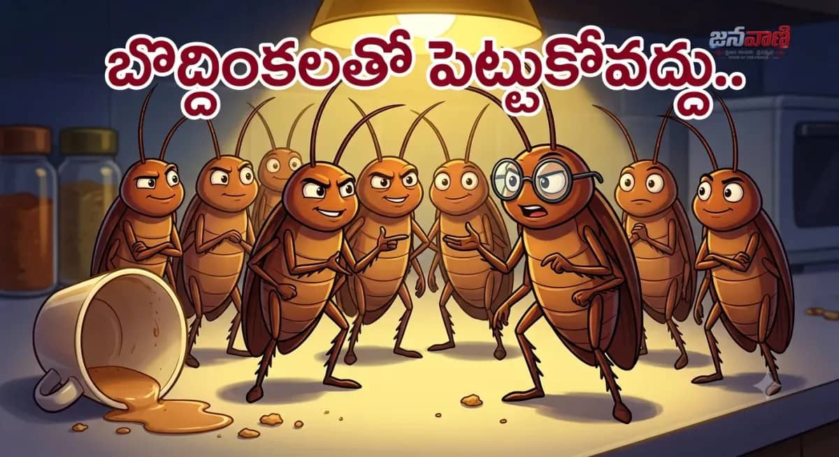 బొద్దింకలతో పెట్టుకోవద్దు.. ధర్మేంద్ర ప్రధాన్ రాజీనామాపై కాక్రోచ్‌ల స్పందన