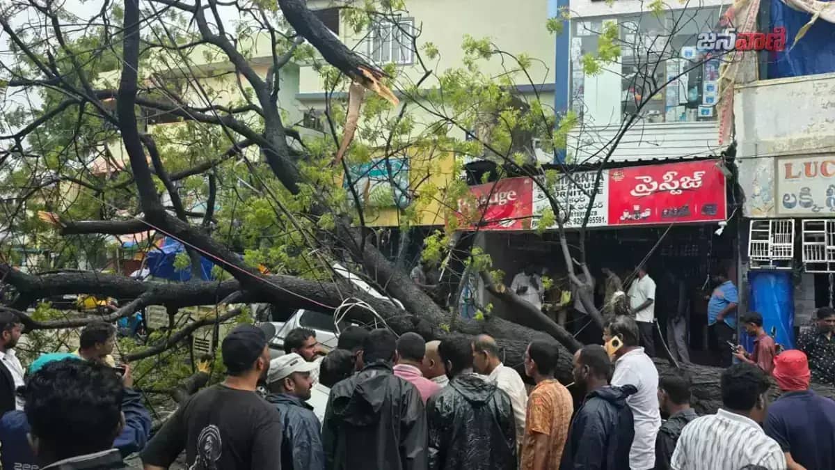 సిరిసిల్ల పెద్దబజార్‌లో నేలకూలిన భారీ వేపచెట్టు