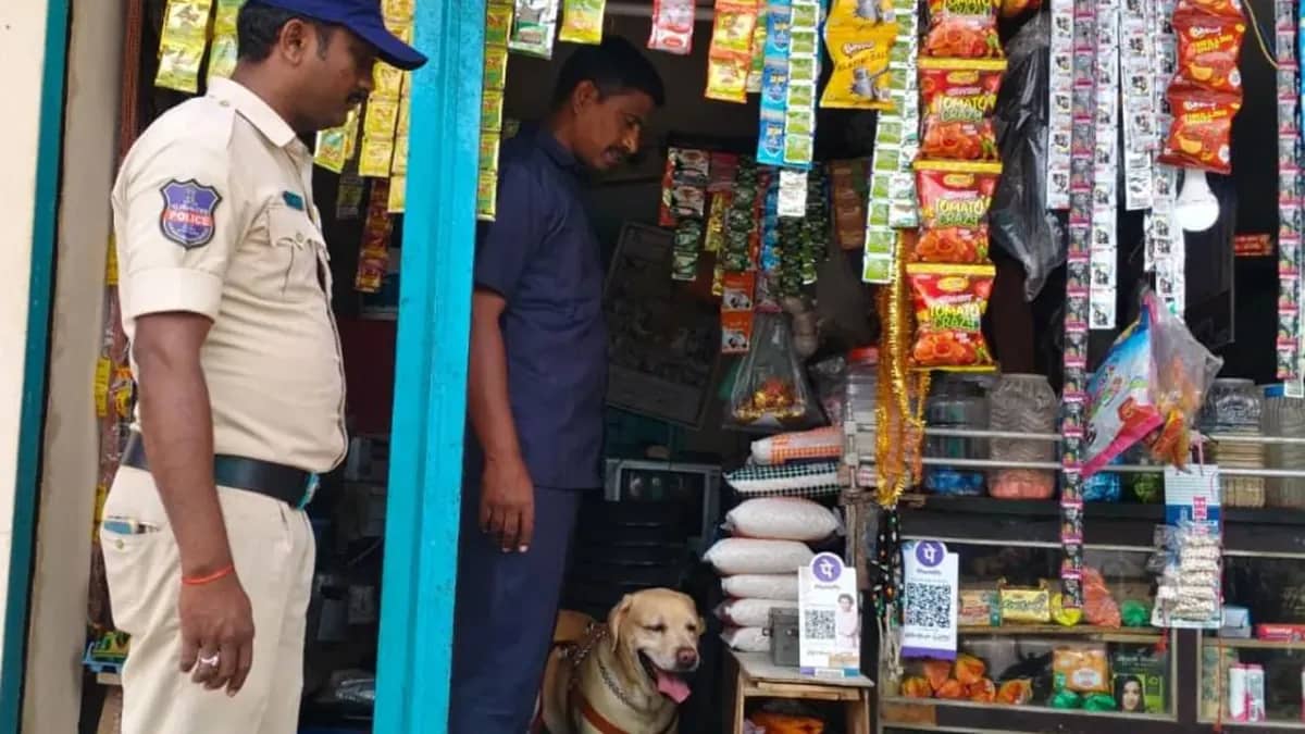 ఎల్లారెడ్డిపేటలోని కిరాణ దుకాణంలో డ్రగ్స్, గంజాయిలపై తనిఖీలు నిర్వహిస్తున్న పోలీసులు