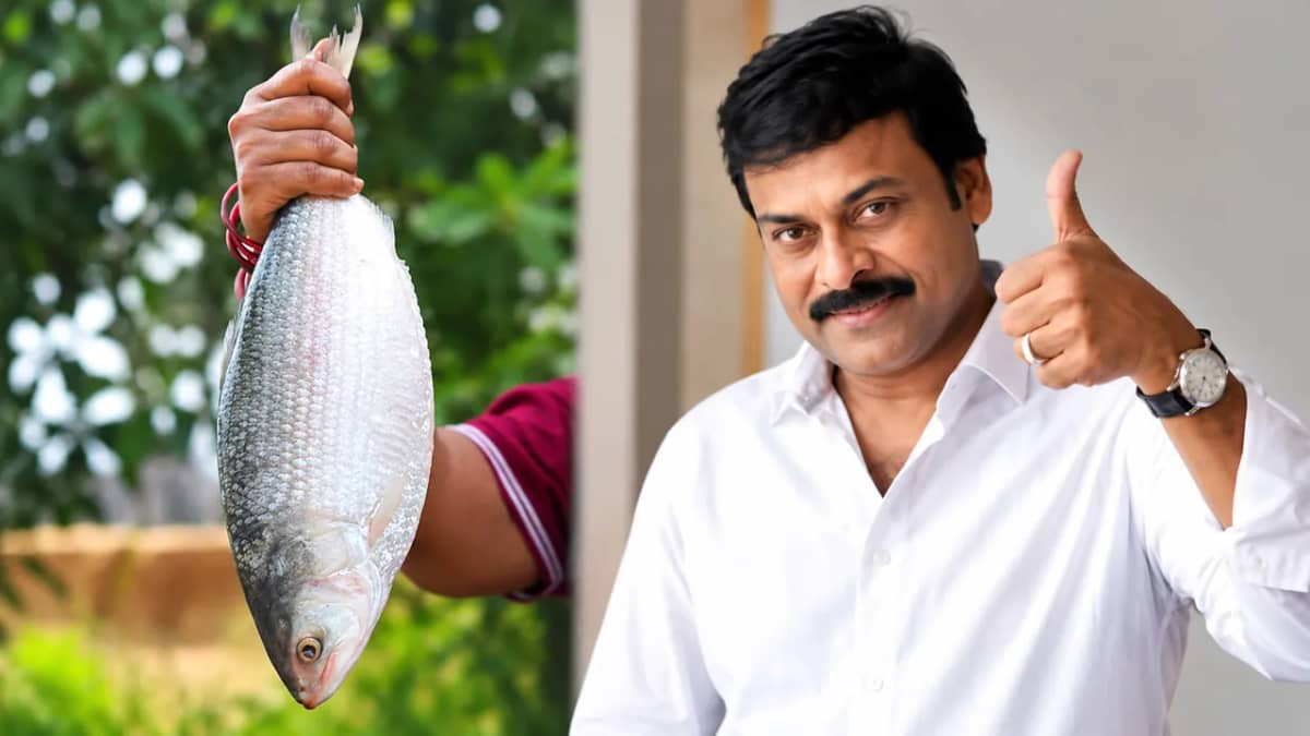 మెగాస్టార్ ఇంటికి గోదావరి పులస..అభిమాన హీరో కోసం స్పెషల్ గిఫ్ట్!