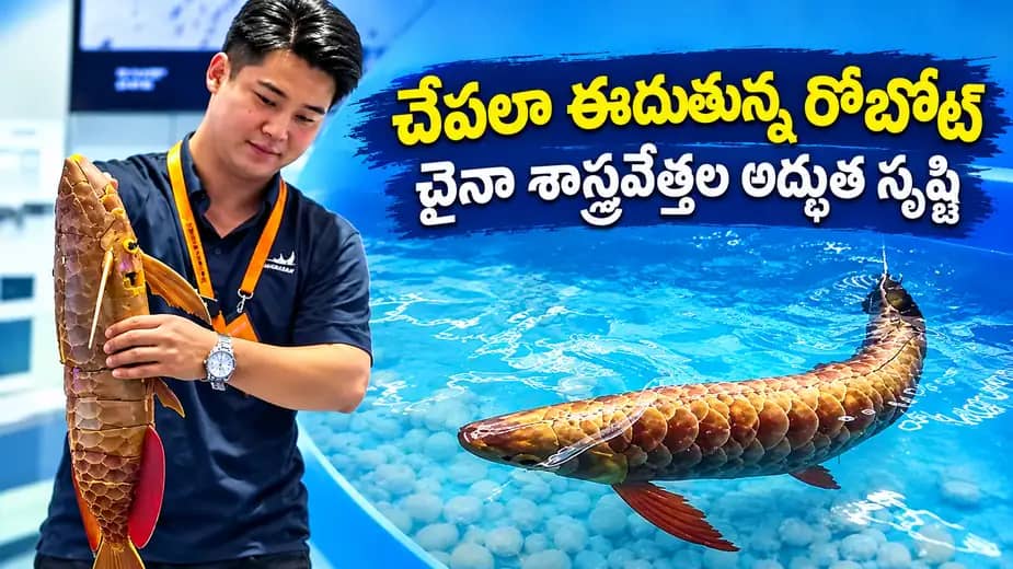 చేపలా ఈదుతున్న రోబోట్ (AI Image)