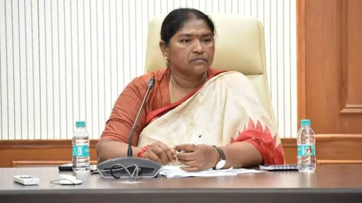 తెలంగాణలో దసరా కానుకగా కొత్త పెన్షన్లు.. అధికారులకు మంత్రి సీతక్క ఆదేశాలు