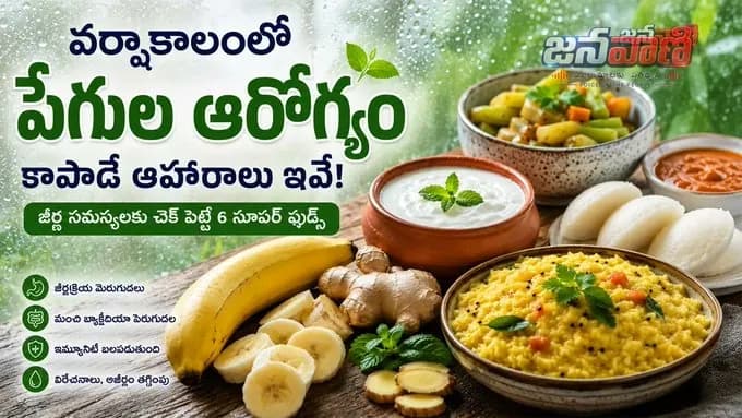 వర్షాకాలంలో ఆరోగ్యంగా ఉండాలంటే.. ఈ ఫుడ్‌ను మీ డైట్‌లో తప్పనిసరిగా యాడ్ చేసుకోవాల్సిందే!