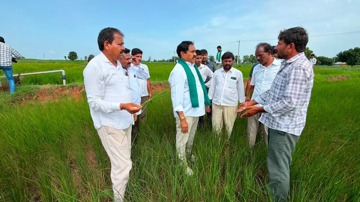 సాగునీరు లేక ఎండిన పంటలు.. రైతుల కన్నీళ్లు: ఎర్రబెల్లి దయాకర్ రావు