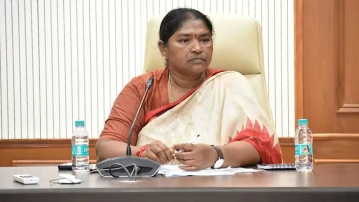 తెలంగాణలో దసరా కానుకగా కొత్త పెన్షన్లు.. అధికారులకు మంత్రి సీతక్క ఆదేశాలు