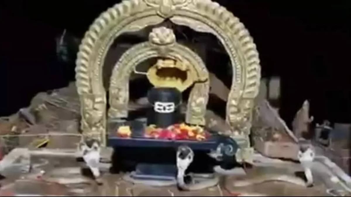 శివలింగాన్ని చుట్టూ ప్రదక్షిణలు.. మూడు నాగుపాముల అరుదైన దర్శనం