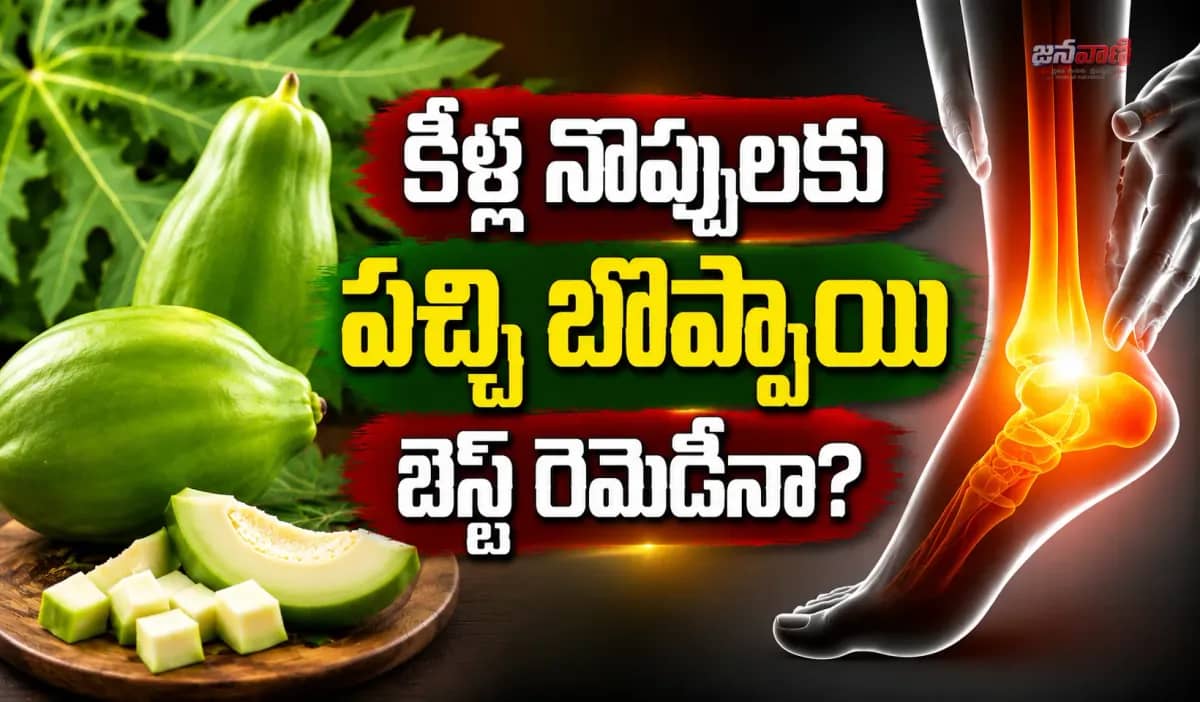 పచ్చి బొప్పాయి తింటే యూరిక్ యాసిడ్ తగ్గుతుందా? నిజం ఏంటో తెలుసా!