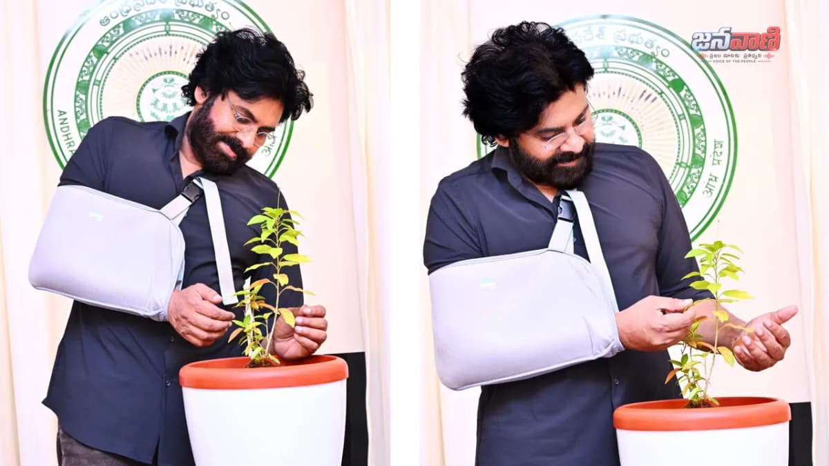 అరుదైన వృక్ష జాతి మొక్కకు పేరు పెట్టిన ఏపీ డిప్యూటీ సీఎం పవన్ కల్యాణ్