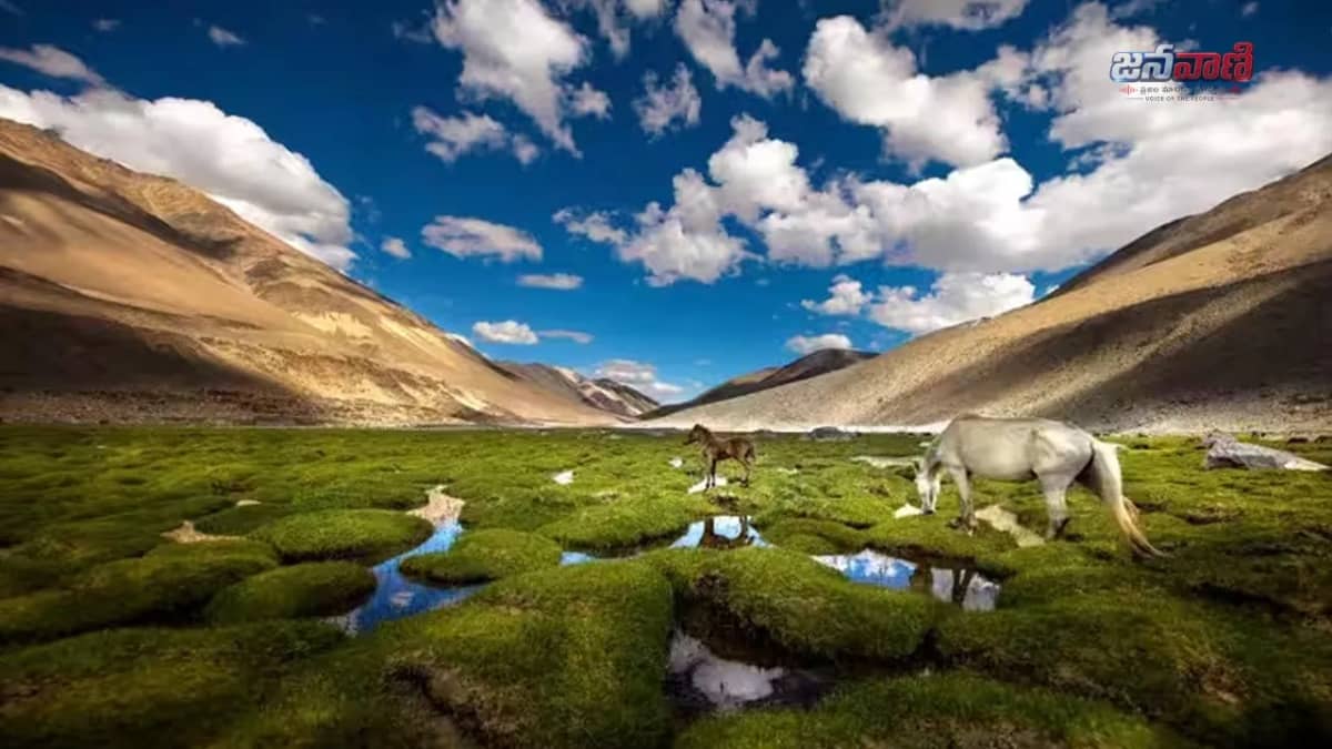 Adventure Tourism | ప్రకృతి ఒడిలో సాహస యాత్రకు వెళ్దామా? భారత్లోని అడ్వెంచర్ డెస్టినేషన్స్ ఇవే!