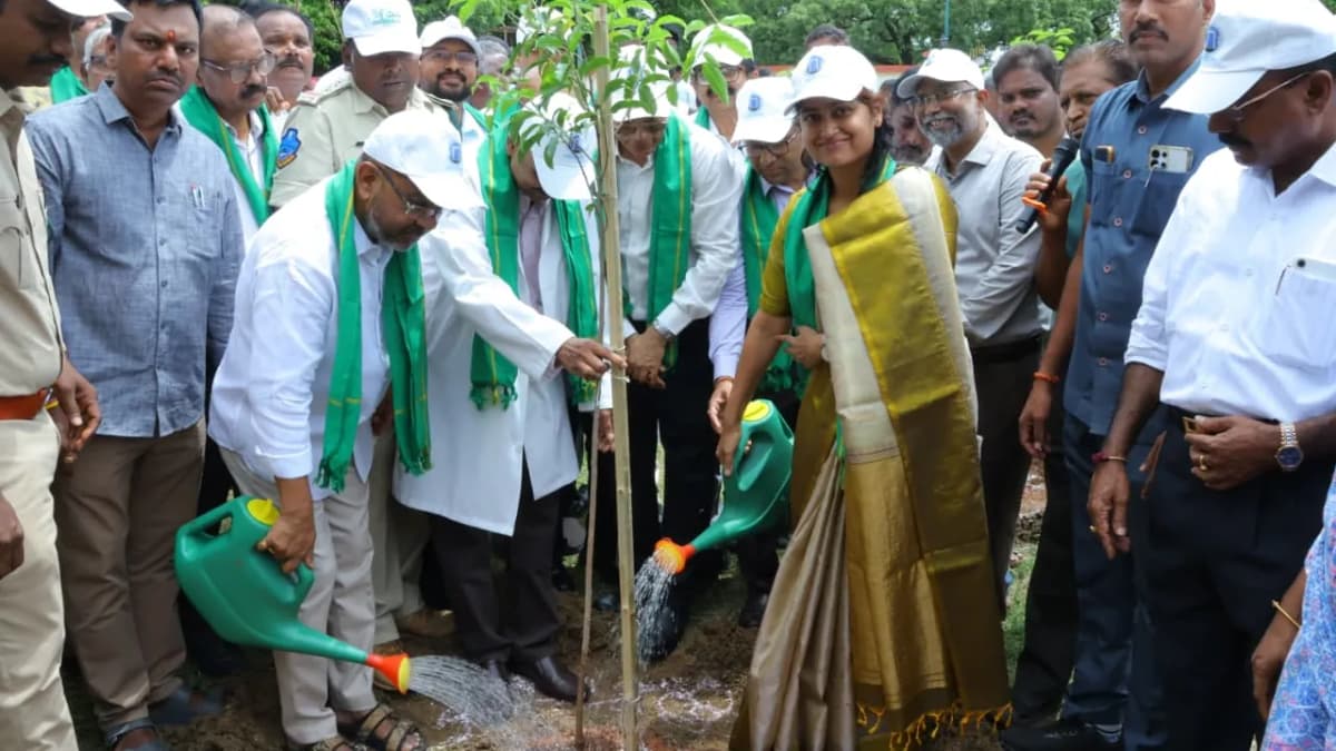 విద్యార్థులు ఒక్కొక్కరు ఒక మొక్కను దత్తత తీసుకుని సంరక్షించాలి: ఎమ్మెల్యే నాయిని రాజేందర్ రెడ్డి