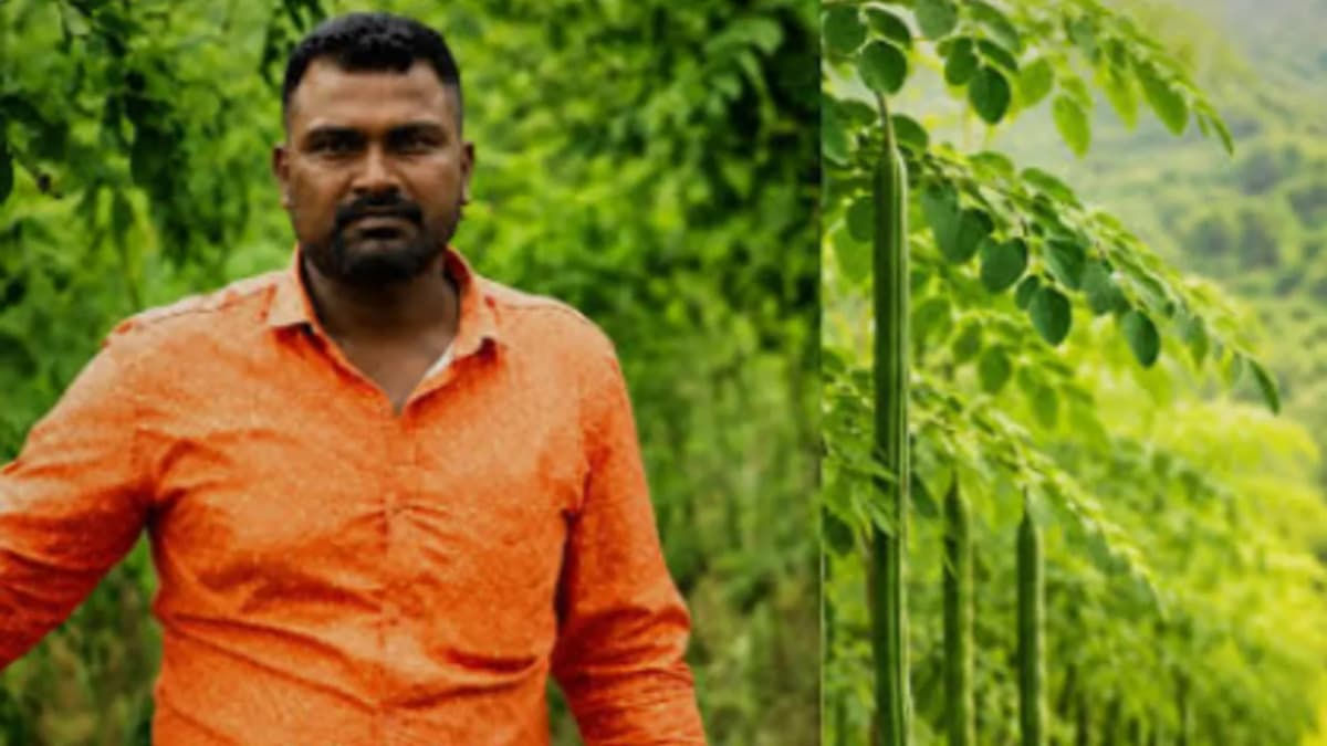 మునగ సాగుతో కోట్ల టర్నోవర్..యువ రైతు సాగర్ సక్సెస్ స్టోరీ