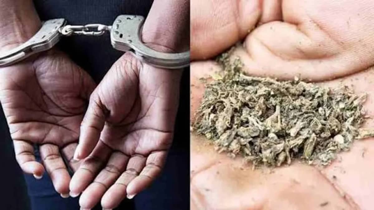 హైదరాబాద్లో భారీ గంజాయి పట్టివేత.. 425 కేజీలు స్వాధీనం