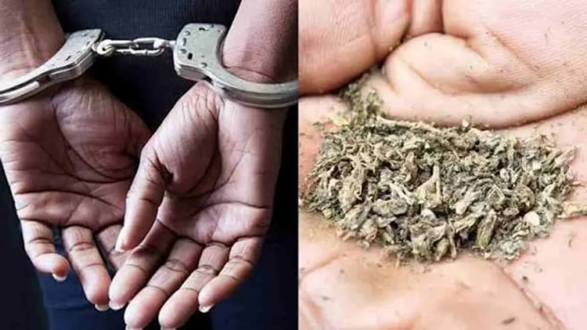 హైదరాబాద్లో భారీ గంజాయి పట్టివేత.. 425 కేజీలు స్వాధీనం